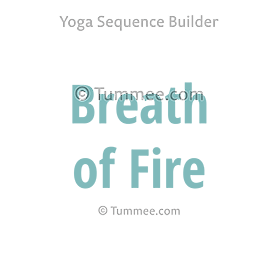 adem van vuur sectie (Agni Prana Sectie)