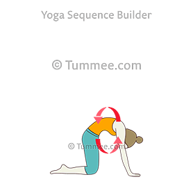 cat cow pose rib cage circles (Bitilasana Marjaryasana Rib Cage Circles)