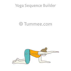 forearms table top pose one arm extended (Forearms Bharmanasana Eka Hasta Extended)