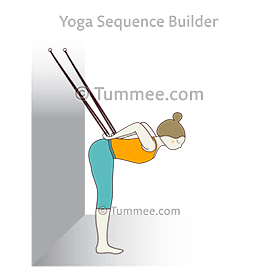 Half Forward Bend Pose Hands On Back Ropes (Ardha Uttanasana Hasta ...