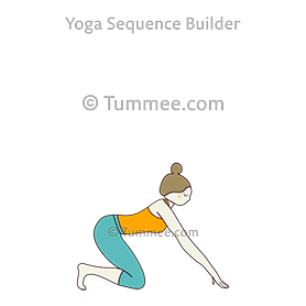 kneeling rocket cow pose (Nishadita Rocket Bitilasana)