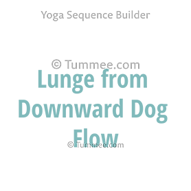 lunge from downward dog flow section
