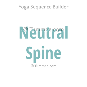 neutral spine section