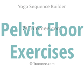 pelvic floor exercises section