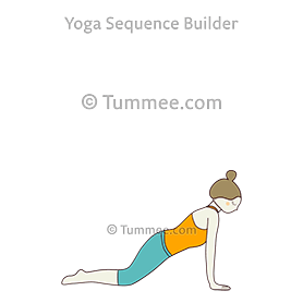 plank pose knees floor (Phalakasana Janu Floor)