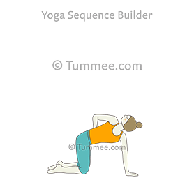 revolved table top pose one hand back (Parivrtta Bharmanasana Eka Hasta Back)