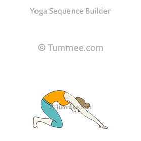 rocket cat pose (Rocket Marjaryasana)