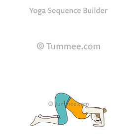 table top pose elbows front hands in forward bend (Bharmanasana Kehuni Front Hasta In Uttanasana)