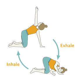 Thread The Needle Pose Flow Yoga Urdhva Mukha Pasasana Flow Yoga Thread The Needle Pose Flow Yoga Urdhva Mukha Pasasana Flow Yoga