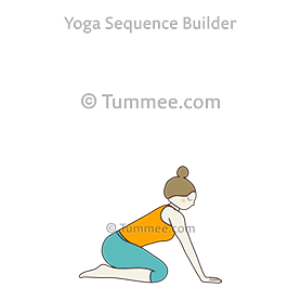 thunderbolt pose half forward bend (Vajrasana Ardha Uttanasana)