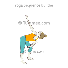 Triangle Pose Elbow Knee Bent Yoga (Trikonasana Kehuni Nata Janu ...
