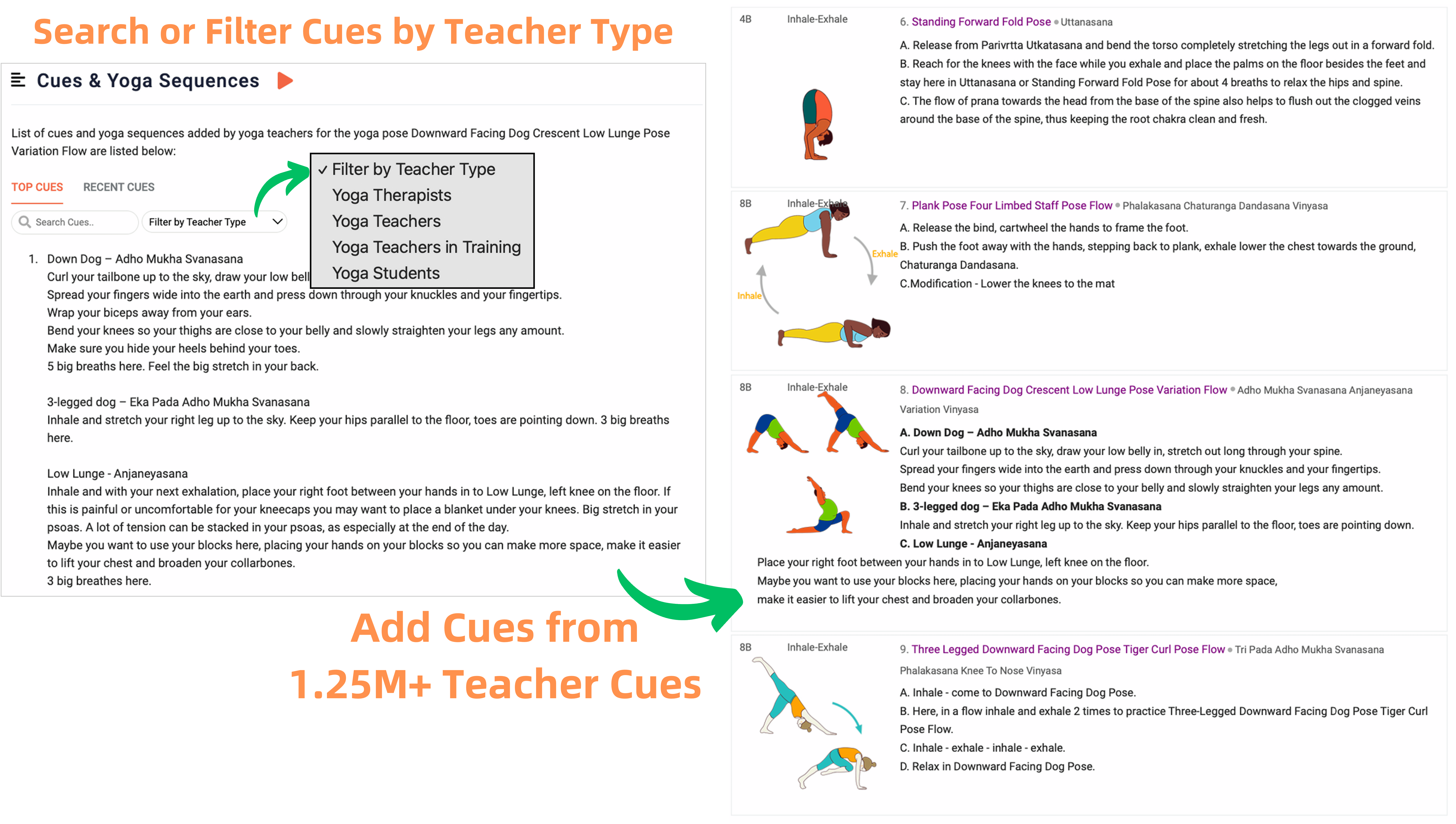 Teacher Cues Database