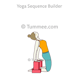 camel pose blocks (Ustrasana Blocks)